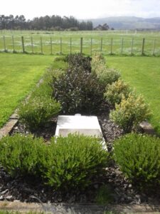 Septech wastewater treatment unit installed in a landscaped shrub garden