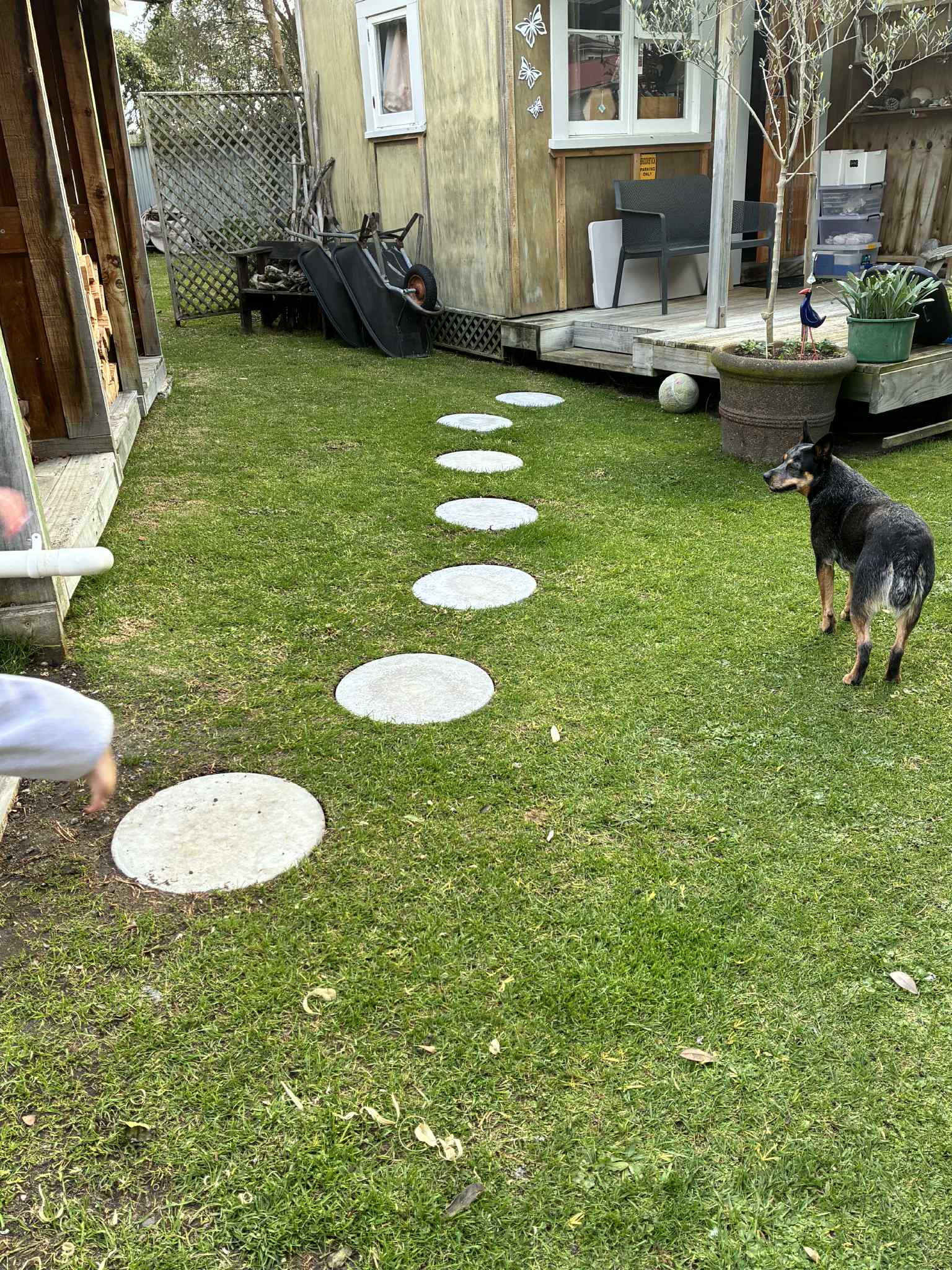 Round concrete pavers forming a pathway to a garden shed surrounded by grass