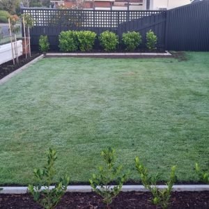Concrete garden edging installed along a flower bed, showing clean and durable border